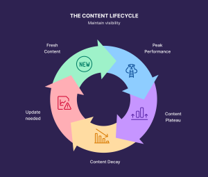 A circular diagram titled ‘The Content Lifecycle’ showing five stages: Fresh Content, Peak Performance, Content Plateau, Content Decay, and Update Needed, illustrating how content performance changes over time and requires updates to maintain visibility.